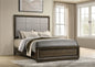 Atlas 64-inch Queen Upholstered Panel Bed Grey and Dark Oak